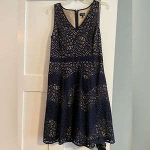 The Limited dress. Navy Blue & Tan.